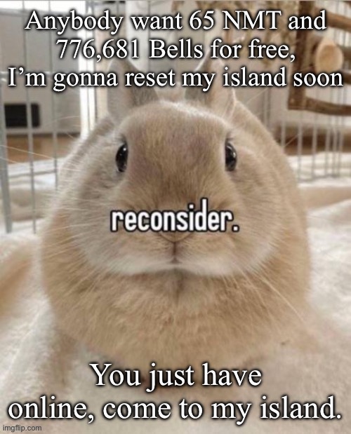 reconsider | Anybody want 65 NMT and 776,681 Bells for free, I’m gonna reset my island soon; You just have online, come to my island. | image tagged in reconsider | made w/ Imgflip meme maker