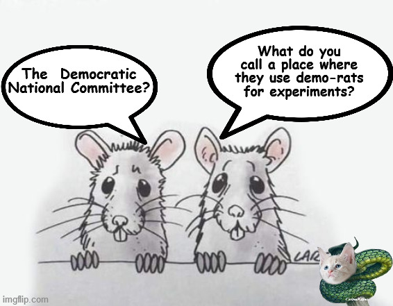 democrat | The  Democratic National Committee? What do you call a place where they use demo-rats for experiments? | image tagged in rats,laboratory,white house,democrat,lab rat | made w/ Imgflip meme maker