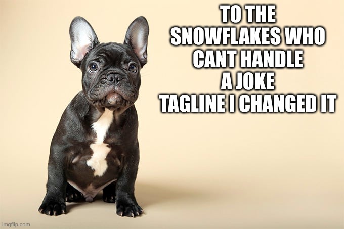 KSDawg | TO THE SNOWFLAKES WHO CANT HANDLE A JOKE TAGLINE I CHANGED IT | image tagged in ksdawg | made w/ Imgflip meme maker