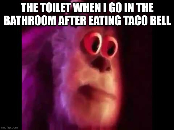 Sully Groan | THE TOILET WHEN I GO IN THE BATHROOM AFTER EATING TACO BELL | image tagged in sully groan | made w/ Imgflip meme maker