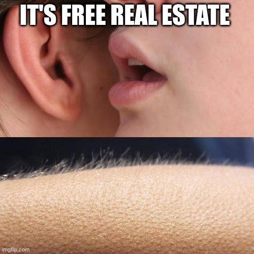 free real estate | IT'S FREE REAL ESTATE | image tagged in whisper and goosebumps | made w/ Imgflip meme maker