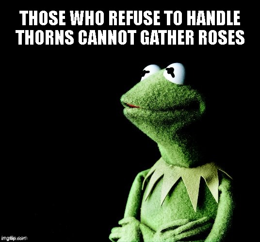 Contemplative Kermit | THOSE WHO REFUSE TO HANDLE THORNS CANNOT GATHER ROSES | image tagged in contemplative kermit | made w/ Imgflip meme maker