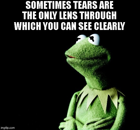 Contemplative Kermit | SOMETIMES TEARS ARE THE ONLY LENS THROUGH WHICH YOU CAN SEE CLEARLY | image tagged in contemplative kermit | made w/ Imgflip meme maker