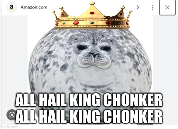 fat seal | ALL HAIL KING CHONKER ALL HAIL KING CHONKER | image tagged in fat seal | made w/ Imgflip meme maker