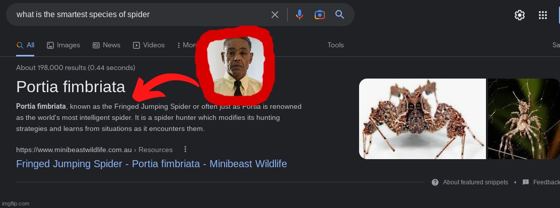 real | made w/ Imgflip meme maker