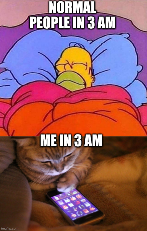 When 3 AM | NORMAL PEOPLE IN 3 AM; ME IN 3 AM | image tagged in homer simpson sleeping peacefully,mobile,cat,3 am | made w/ Imgflip meme maker