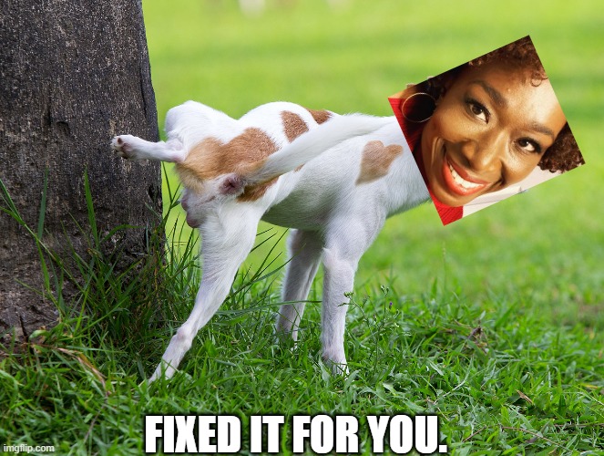 Dog peeing on tree | FIXED IT FOR YOU. | image tagged in dog peeing on tree | made w/ Imgflip meme maker