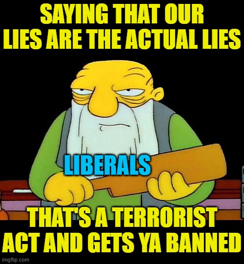 Remember, it's not who's lying and who's telling the truth. It's who lies first! | SAYING THAT OUR LIES ARE THE ACTUAL LIES; LIBERALS; THAT'S A TERRORIST ACT AND GETS YA BANNED | image tagged in memes,that's a paddlin' | made w/ Imgflip meme maker