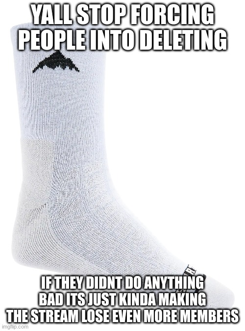 YALL STOP FORCING PEOPLE INTO DELETING; IF THEY DIDNT DO ANYTHING BAD ITS JUST KINDA MAKING THE STREAM LOSE EVEN MORE MEMBERS | made w/ Imgflip meme maker