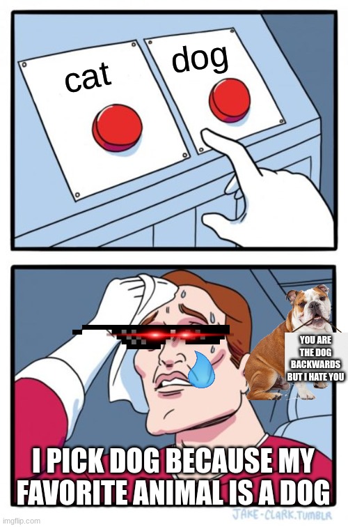 Two Buttons | dog; cat; YOU ARE THE DOG BACKWARDS BUT I HATE YOU; I PICK DOG BECAUSE MY FAVORITE ANIMAL IS A DOG | image tagged in memes,two buttons | made w/ Imgflip meme maker