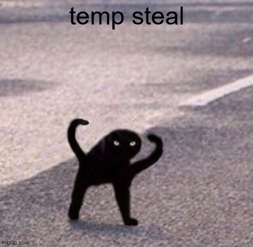 Cursed cat temp | temp steal | image tagged in cursed cat temp | made w/ Imgflip meme maker