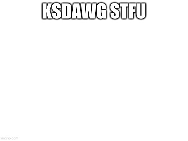 KSDAWG STFU | made w/ Imgflip meme maker