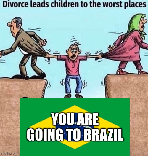Brazil | YOU ARE GOING TO BRAZIL | image tagged in divorce leads children to the worst places,funny | made w/ Imgflip meme maker
