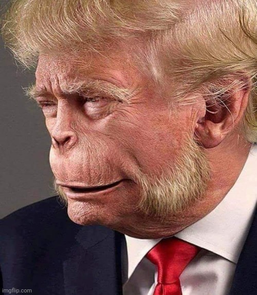 Planet of the Trumps | image tagged in planet of the trumps | made w/ Imgflip meme maker