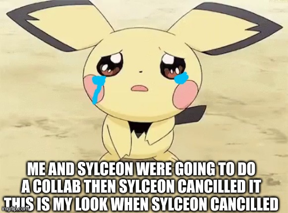 oof | ME AND SYLCEON WERE GOING TO DO A COLLAB THEN SYLCEON CANCILLED IT THIS IS MY LOOK WHEN SYLCEON CANCILLED | image tagged in sad pichu | made w/ Imgflip meme maker