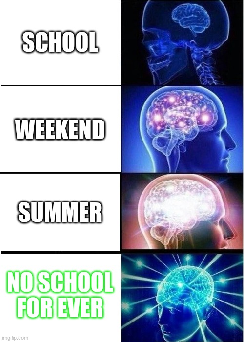yesss | SCHOOL; WEEKEND; SUMMER; NO SCHOOL FOR EVER | image tagged in memes,expanding brain | made w/ Imgflip meme maker