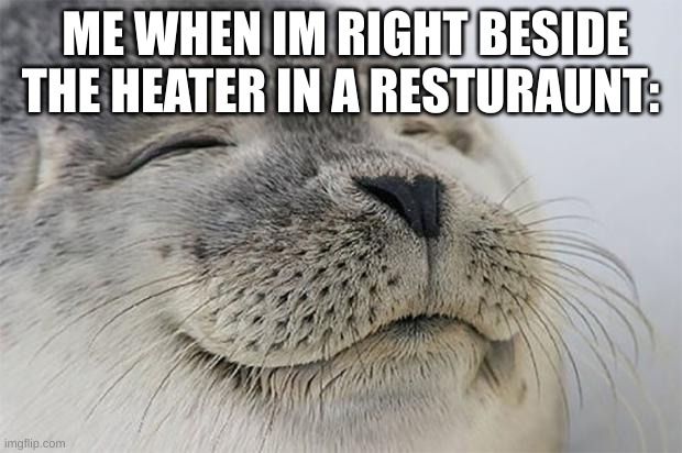 Satisfied Seal | ME WHEN IM RIGHT BESIDE THE HEATER IN A RESTURAUNT: | image tagged in memes,satisfied seal,relatable,funny,animals,cool | made w/ Imgflip meme maker