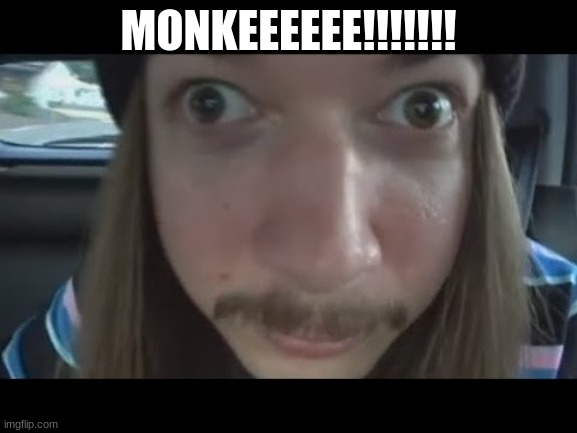 jimmy here ? | MONKEEEEEE!!!!!!! | image tagged in jimmy here | made w/ Imgflip meme maker