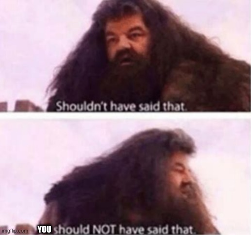 Shouldn't have said that | YOU | image tagged in shouldn't have said that | made w/ Imgflip meme maker