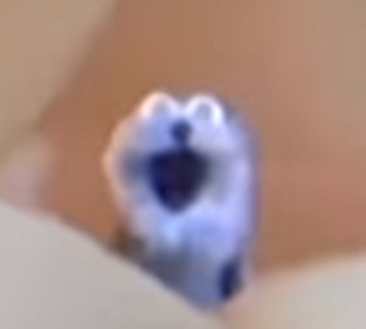 High Quality Screaming Blue Thing Blank Meme Template