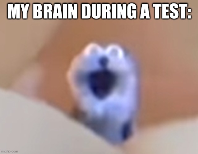I have created the "definitely not funny" screaming blue thing meme | MY BRAIN DURING A TEST: | image tagged in school,test,blue,internal screaming | made w/ Imgflip meme maker
