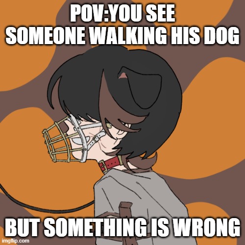 im back after a long time! | POV:YOU SEE SOMEONE WALKING HIS DOG; BUT SOMETHING IS WRONG | made w/ Imgflip meme maker