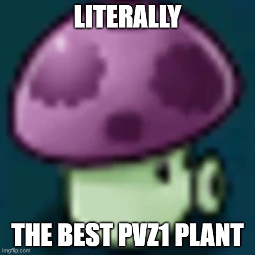 P U F F S H R O O M | LITERALLY; THE BEST PVZ1 PLANT | image tagged in the puffshroom | made w/ Imgflip meme maker