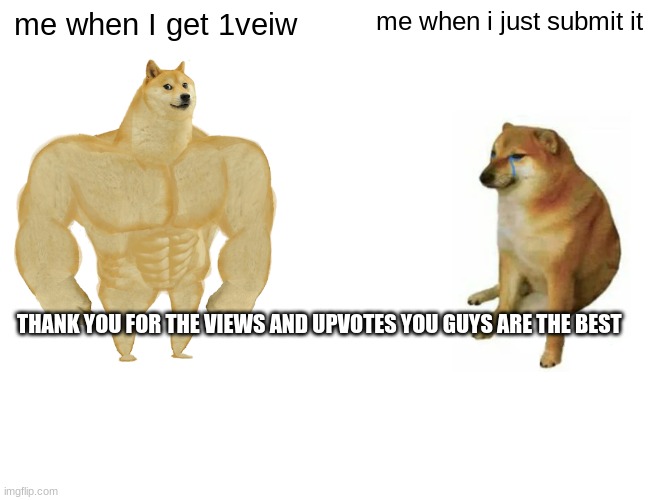 Buff Doge vs. Cheems | me when I get 1veiw; me when i just submit it; THANK YOU FOR THE VIEWS AND UPVOTES YOU GUYS ARE THE BEST | image tagged in memes,buff doge vs cheems | made w/ Imgflip meme maker