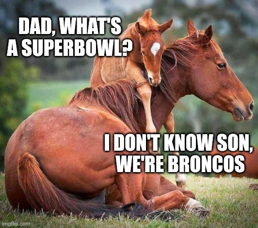 DAD, WHAT'S A SUPERBOWL? I DON'T KNOW SON,
 WE'RE BRONCOS | image tagged in funny memes | made w/ Imgflip meme maker