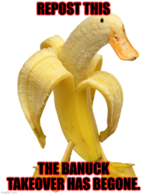 banuck takeover | REPOST THIS; THE BANUCK TAKEOVER HAS BEGONE. | image tagged in banuck | made w/ Imgflip meme maker