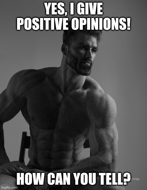 Giga Chad | YES, I GIVE POSITIVE OPINIONS! HOW CAN YOU TELL? | image tagged in giga chad | made w/ Imgflip meme maker