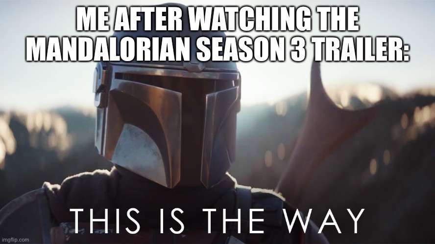 Yep i did that | ME AFTER WATCHING THE MANDALORIAN SEASON 3 TRAILER: | image tagged in this is the way | made w/ Imgflip meme maker