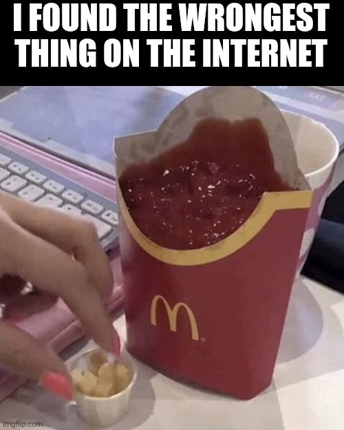 Meme #222 |  I FOUND THE WRONGEST THING ON THE INTERNET | image tagged in ketchup with a side of fries,fast food,hold up wait a minute something aint right,french fries,memes,fries | made w/ Imgflip meme maker