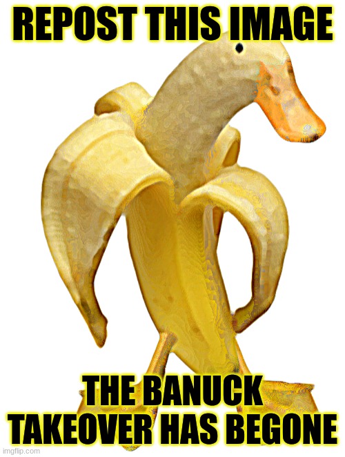 banuck takeover | REPOST THIS IMAGE; THE BANUCK TAKEOVER HAS BEGONE | image tagged in banuck | made w/ Imgflip meme maker