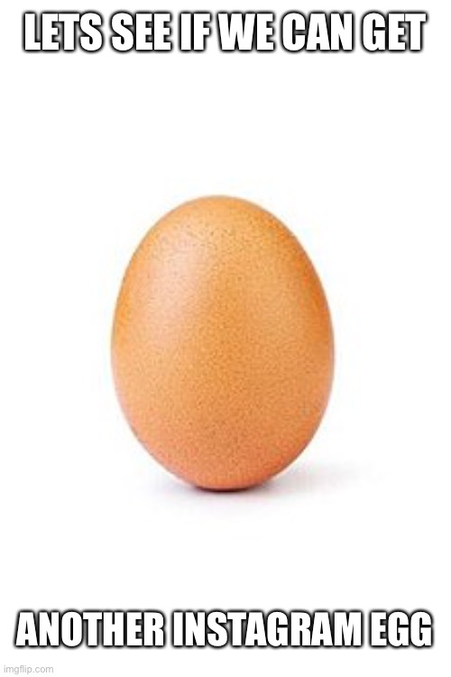 LETS SEE IF WE CAN GET; ANOTHER INSTAGRAM EGG | image tagged in egg | made w/ Imgflip meme maker