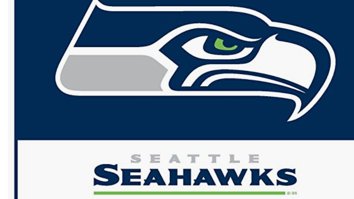 Seattle seahawks Blank Meme Template