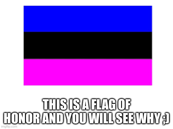 furrhian | THIS IS A FLAG OF HONOR AND YOU WILL SEE WHY ;) | made w/ Imgflip meme maker
