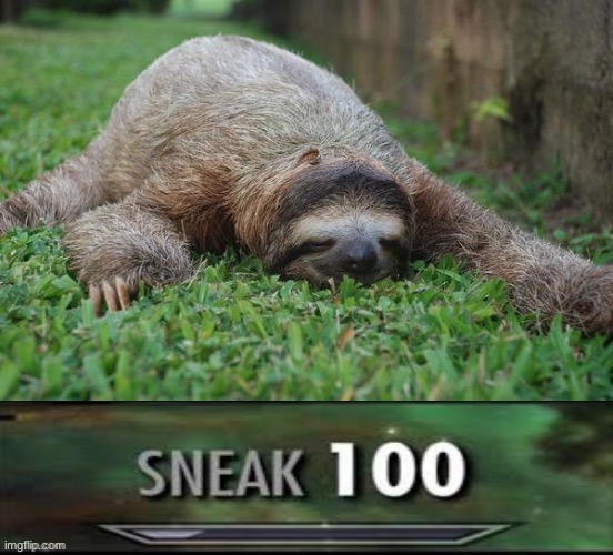 Sloth sneak 100 | image tagged in sloth sneak 100 | made w/ Imgflip meme maker