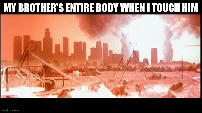 Terminator 2 Judgement Day | MY BROTHER'S ENTIRE BODY WHEN I TOUCH HIM | image tagged in terminator 2 judgement day | made w/ Imgflip meme maker