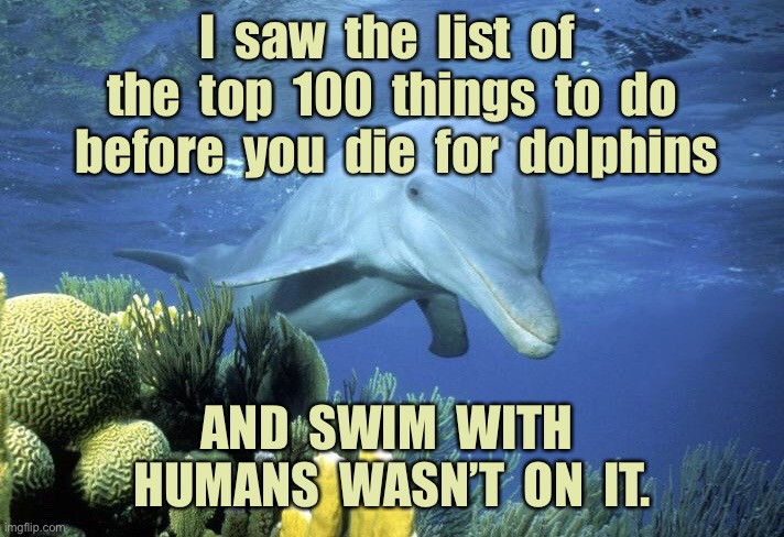 Dolphin bucket list | I  saw  the  list  of  the  top  100  things  to  do  before  you  die  for  dolphins; AND  SWIM  WITH  HUMANS  WASN’T  ON  IT. | image tagged in dolphin bucket list,before they die,swim with humans,was not on it,dark humour | made w/ Imgflip meme maker