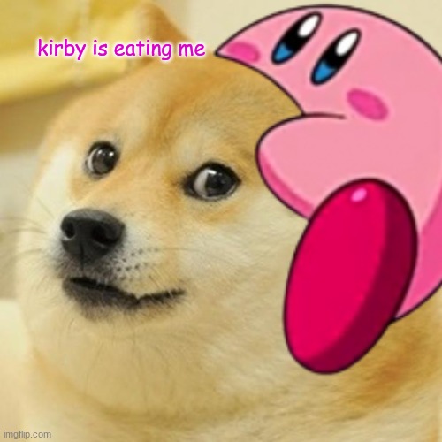 kirby eats doge | kirby is eating me | image tagged in kirby,doge | made w/ Imgflip meme maker
