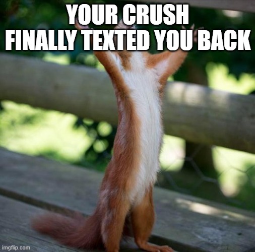 finally | YOUR CRUSH FINALLY TEXTED YOU BACK | image tagged in finally | made w/ Imgflip meme maker