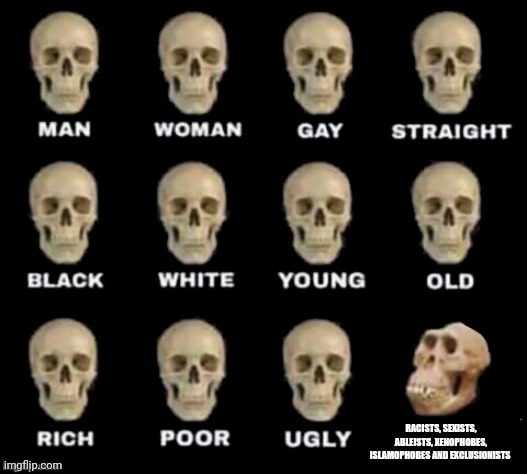idiot skull | RACISTS, SEXISTS, ABLEISTS, XENOPHOBES, ISLAMOPHOBES AND EXCLUSIONISTS | image tagged in idiot skull | made w/ Imgflip meme maker