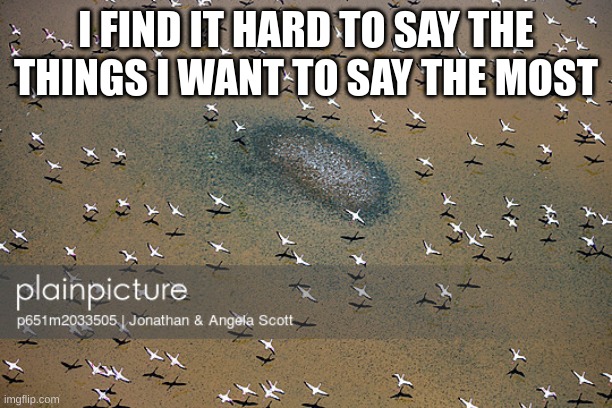 using stock images based off of lyrics | I FIND IT HARD TO SAY THE THINGS I WANT TO SAY THE MOST | made w/ Imgflip meme maker