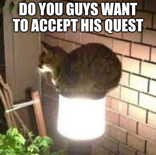the quest | DO YOU GUYS WANT TO ACCEPT HIS QUEST | image tagged in funny memes | made w/ Imgflip meme maker