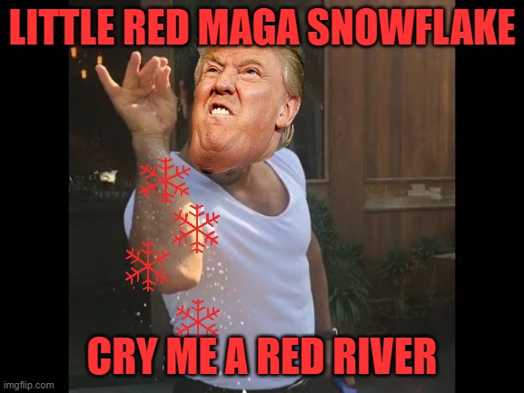 Salty red tears | LITTLE RED MAGA SNOWFLAKE; CRY ME A RED RIVER | image tagged in salt guy,maga,donald trump,political meme,snowflakes | made w/ Imgflip meme maker