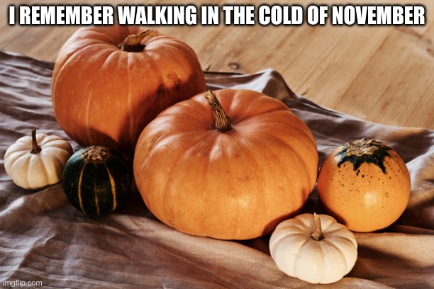 I REMEMBER WALKING IN THE COLD OF NOVEMBER | made w/ Imgflip meme maker