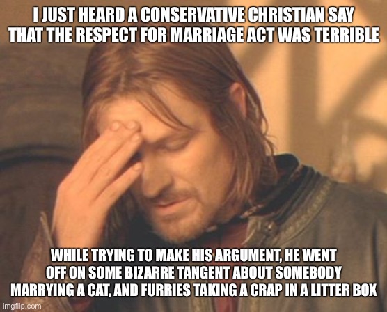 Frustrated Boromir | I JUST HEARD A CONSERVATIVE CHRISTIAN SAY THAT THE RESPECT FOR MARRIAGE ACT WAS TERRIBLE; WHILE TRYING TO MAKE HIS ARGUMENT, HE WENT OFF ON SOME BIZARRE TANGENT ABOUT SOMEBODY MARRYING A CAT, AND FURRIES TAKING A CRAP IN A LITTER BOX | image tagged in memes,frustrated boromir | made w/ Imgflip meme maker