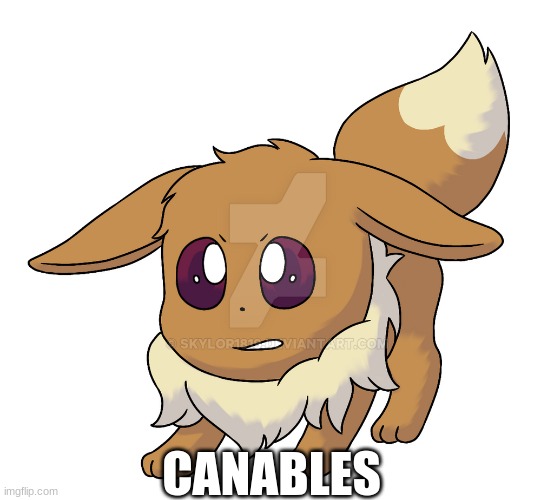 in scared | CANABLES | image tagged in eevee | made w/ Imgflip meme maker