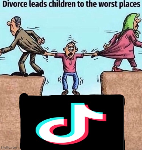*Bad Habit starts playing* | image tagged in divorce leads children to the worst places,tiktok sucks | made w/ Imgflip meme maker